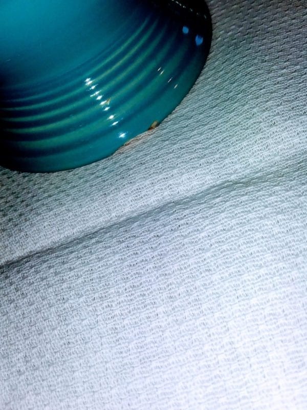 Fiesta Blue Pitcher - Image 3