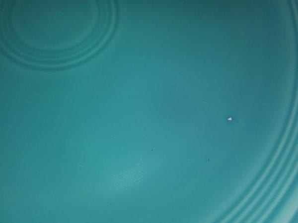 Large Fiesta Turquoise Dinner Plate - Image 3