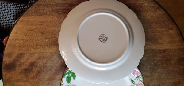 Desert Rose Dinner Plate - Image 8