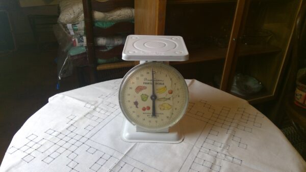 Metal American Family Scale